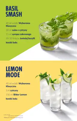 Biedronka - gazetka promocyjna Wódka Wyborowa w Biedronce w super cenie od soboty 27.12 do środy 31.12 - strona 10