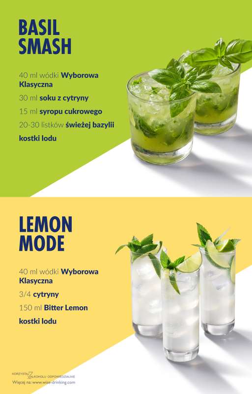 Biedronka - gazetka promocyjna Wódka Wyborowa w Biedronce w super cenie od soboty 27.12 do środy 31.12 - strona 10