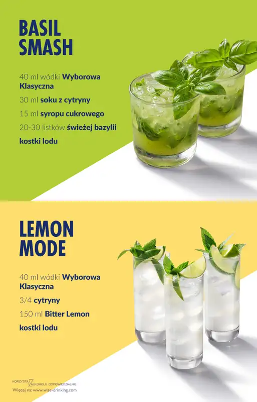 Biedronka - gazetka promocyjna Wódka Wyborowa w Biedronce w super cenie od soboty 27.12 do środy 31.12 - strona 10