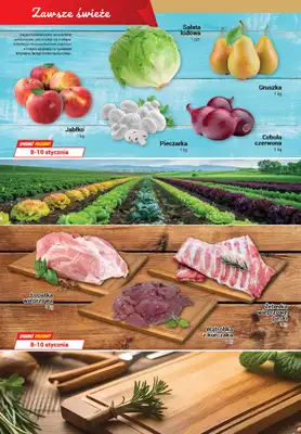 Premium - gazetka promocyjna Gazetka Premium Market Plus od środy 31.12 do środy 14.01 - strona 2