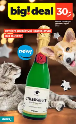 Dealz - gazetka promocyjna Make a Dealz!  do środy 31.12 - strona 32