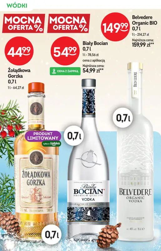 Żabka - gazetka promocyjna Katalog alkoholowy od środy 24.12 do wtorku 06.01 - strona 10