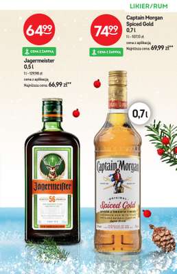 Żabka - gazetka promocyjna Katalog alkoholowy  do wtorku 06.01 - strona 11