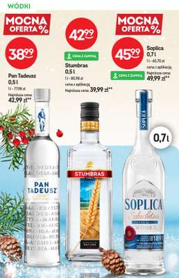Żabka - gazetka promocyjna Katalog alkoholowy  do wtorku 06.01 - strona 8