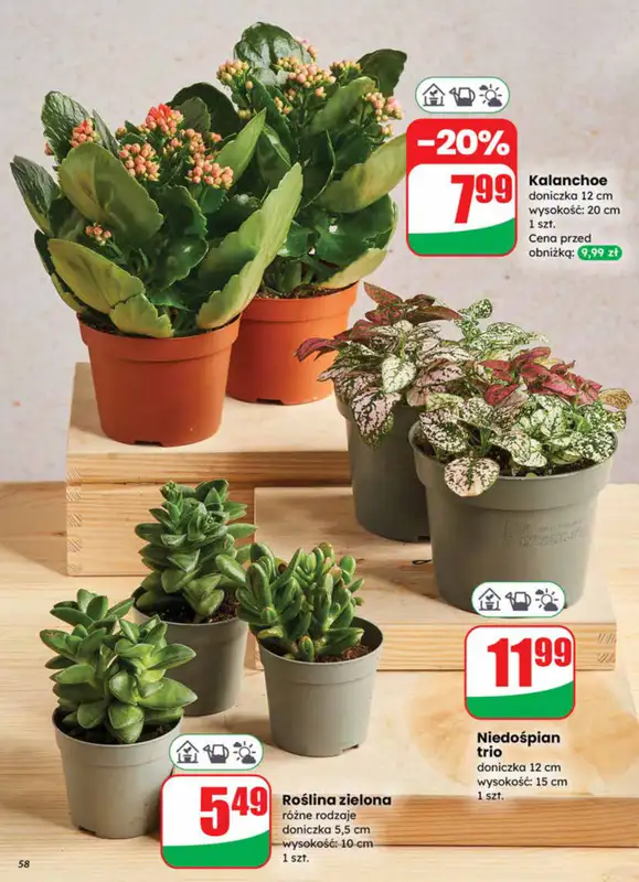 Dino - gazetka promocyjna Gazetka od soboty 27.12 do wtorku 30.12 - strona 58