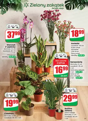 Dino - gazetka promocyjna Gazetka od soboty 27.12 do wtorku 30.12 - strona 57