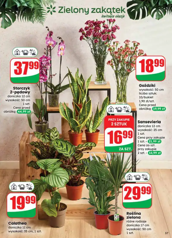 Dino - gazetka promocyjna Gazetka od soboty 27.12 do wtorku 30.12 - strona 57