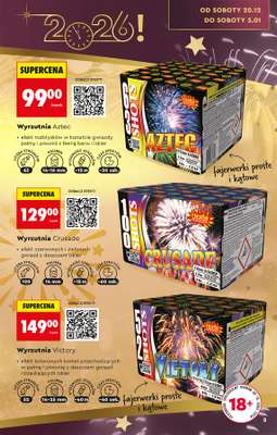 Biedronka - gazetka promocyjna Okazje tygodnia od 29.12 od poniedziałku 29.12 do środy 14.01 - strona 9