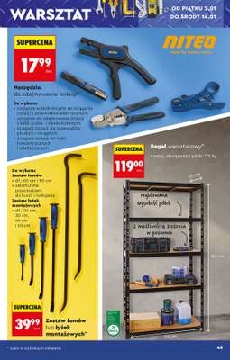 Biedronka - gazetka promocyjna Okazje tygodnia od 29.12 od poniedziałku 29.12 do środy 14.01 - strona 47