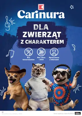 Kaufland - gazetka promocyjna Oferta Kaufland od piątku 02.01 do środy 07.01 - strona 48