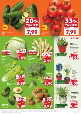 Kaufland - gazetka promocyjna Oferta Kaufland od piątku 02.01 do środy 07.01 - strona 19