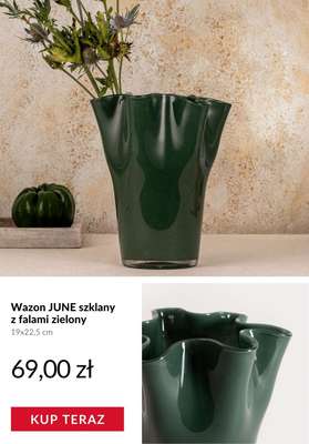 Homla - gazetka promocyjna -50% na drugi produkt od poniedziałku 29.12 do poniedziałku 05.01 - strona 2