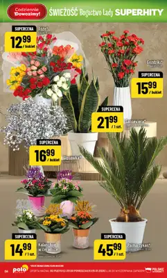 POLOmarket - gazetka promocyjna Gazetka od piątku 02.01 do poniedziałku 05.01 - strona 56