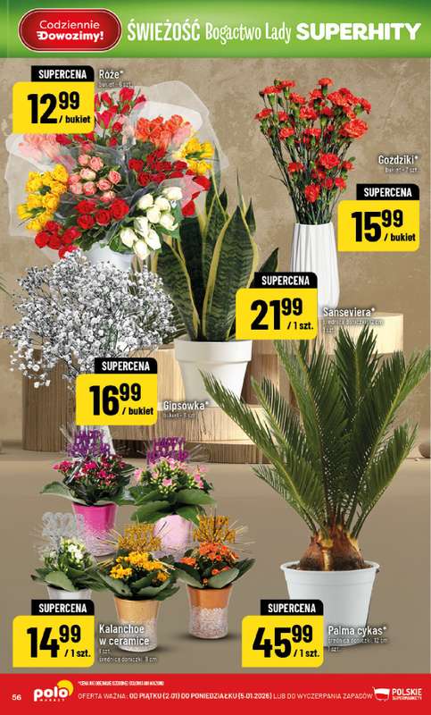 POLOmarket - gazetka promocyjna Gazetka od piątku 02.01 do poniedziałku 05.01 - strona 56