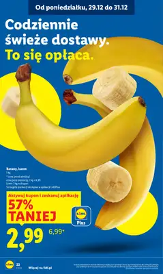 Lidl - gazetka promocyjna Oferta od poniedziałku od poniedziałku 29.12 do środy 31.12 - strona 22