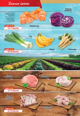 Premium - gazetka promocyjna Gazetka Premium Market Plus od czwartku 15.01 do środy 28.01 - strona 2