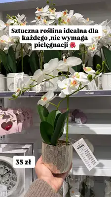 Pepco - gazetka promocyjna Zakupowe Inspiracje w Pepco od poniedziałku 05.01  - strona 7