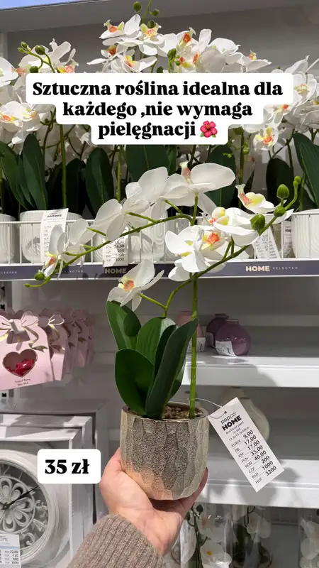 Pepco - gazetka promocyjna Zakupowe Inspiracje w Pepco od poniedziałku 05.01  - strona 7