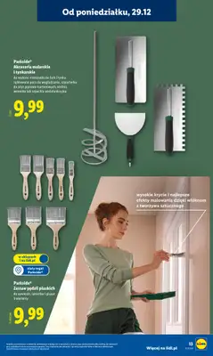 Lidl - gazetka promocyjna Katalog od poniedziałku 29.12 do soboty 03.01 - strona 13