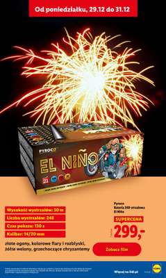 Lidl - gazetka promocyjna Katalog od poniedziałku 29.12 do soboty 03.01 - strona 49