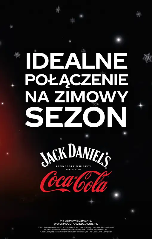 Biedronka - gazetka promocyjna Czas na toast! od wtorku 30.12 do środy 31.12 - strona 47
