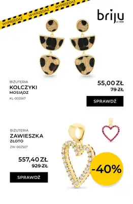 Briju - gazetka promocyjna Gazetka wyprzedaż od piątku 02.01 do czwartku 15.01 - strona 5