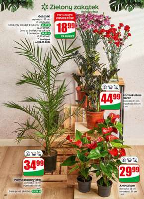 Dino - gazetka promocyjna Gazetka od środy 31.12 do poniedziałku 05.01 - strona 40