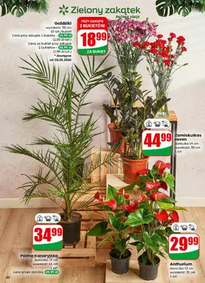 Dino - gazetka promocyjna Gazetka od środy 31.12 do poniedziałku 05.01 - strona 40