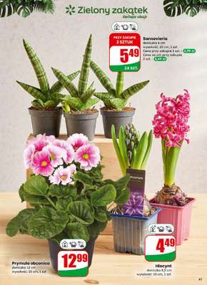 Dino - gazetka promocyjna Gazetka od środy 31.12 do poniedziałku 05.01 - strona 41