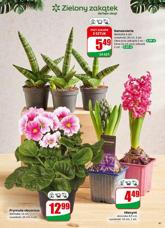 Dino - gazetka promocyjna Gazetka od środy 31.12 do poniedziałku 05.01 - strona 41