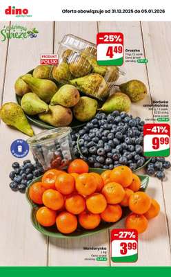 Dino - gazetka promocyjna MEGA promocje! od środy 31.12 do poniedziałku 05.01 - strona 7