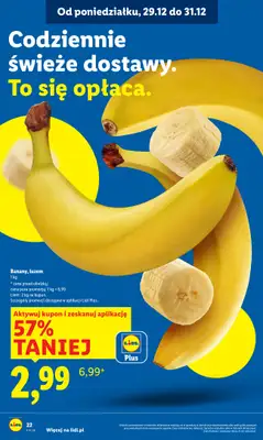 Lidl - gazetka promocyjna Oferta od poniedziałku od poniedziałku 29.12 do środy 31.12 - strona 22