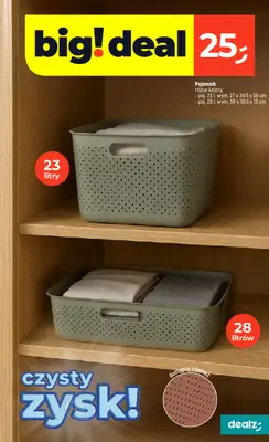Dealz - gazetka promocyjna Czysty Zysk  do środy 14.01 - strona 29