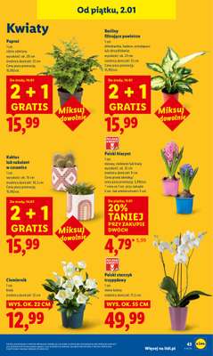 Lidl - gazetka promocyjna Oferta Ważna Od 2.01 Do 3.01 od piątku 02.01 do soboty 03.01 - strona 45