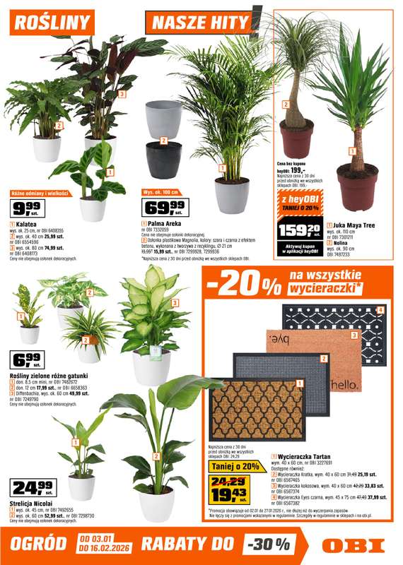 OBI - gazetka promocyjna Gazetka od piątku 02.01 do wtorku 27.01 - strona 5