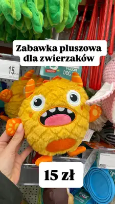 Dealz - gazetka promocyjna Zakupowe Inspiracje w Dealz od piątku 02.01  - strona 13