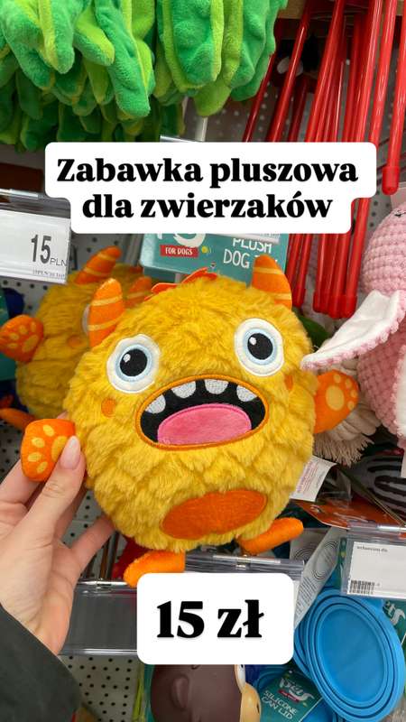 Dealz - gazetka promocyjna Zakupowe Inspiracje w Dealz od piątku 02.01  - strona 13