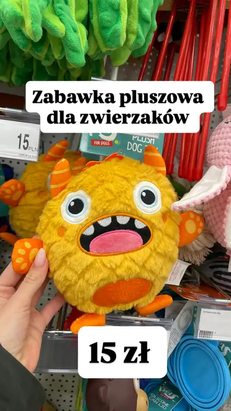 Dealz - gazetka promocyjna Zakupowe Inspiracje w Dealz od piątku 02.01  - strona 13