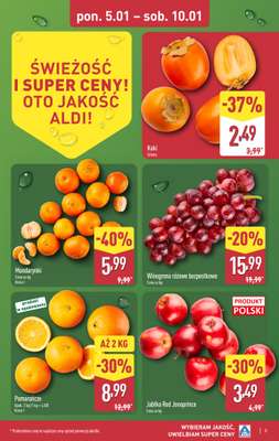 Aldi - gazetka promocyjna Pełny katalog! od poniedziałku 05.01 do soboty 10.01 - strona 3