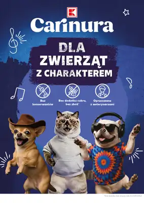 Kaufland - gazetka promocyjna Mocny Start od poniedziałku 05.01 do środy 07.01 - strona 22