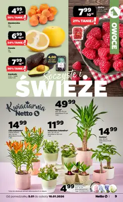 Netto - gazetka promocyjna Gazetka Spożywcza  do soboty 10.01 - strona 9
