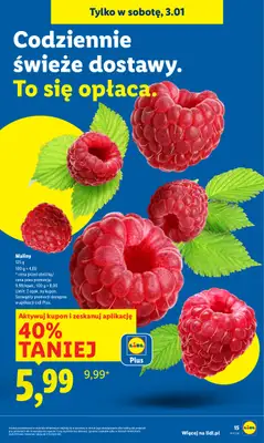 Lidl - gazetka promocyjna Oferta Ważna Od 2.01 Do 3.01 od piątku 02.01 do soboty 03.01 - strona 17