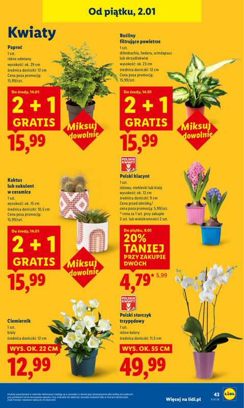 Lidl - gazetka promocyjna Oferta Ważna Od 2.01 Do 3.01 od piątku 02.01 do soboty 03.01 - strona 45