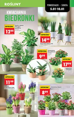 Biedronka - gazetka promocyjna Od poniedziałku, Z ladą tradycyjną od poniedziałku 05.01 do soboty 10.01 - strona 23