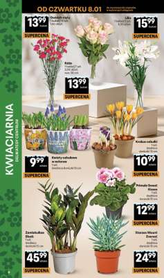 Delikatesy Centrum - gazetka promocyjna Gazetka  do środy 14.01 - strona 8