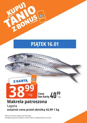 Leclerc - gazetka promocyjna Oferta Bielany I Kupuj tanio z bonus od wtorku 13.01 do niedzieli 25.01 - strona 8