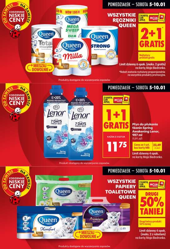 Biedronka - gazetka promocyjna Biedronkowe oszczędności od poniedziałku 05.01 do środy 07.01 - strona 6