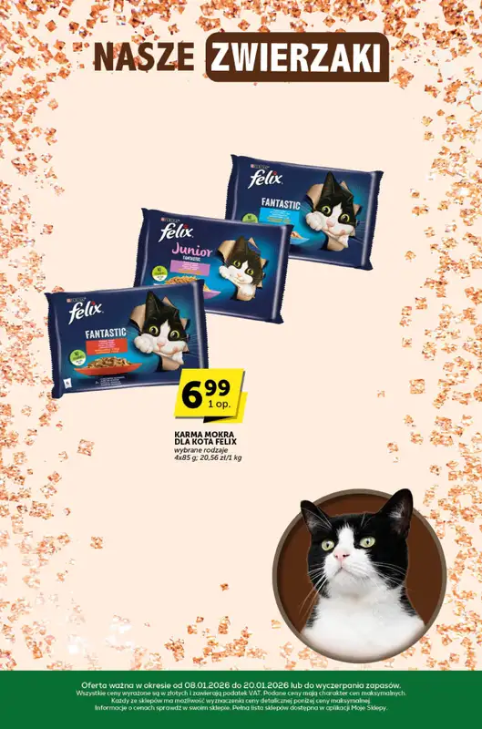 Groszek - gazetka promocyjna Katalog  do wtorku 20.01 - strona 27