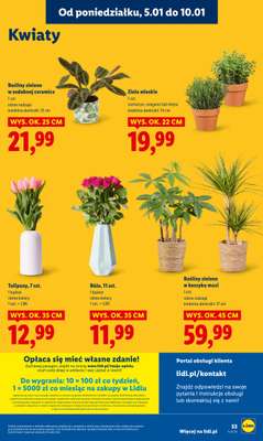 Lidl - gazetka promocyjna Oferta od poniedziałku od poniedziałku 05.01 do środy 07.01 - strona 55