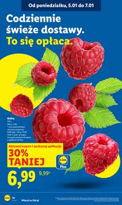 Lidl - gazetka promocyjna Oferta od poniedziałku od poniedziałku 05.01 do środy 07.01 - strona 16